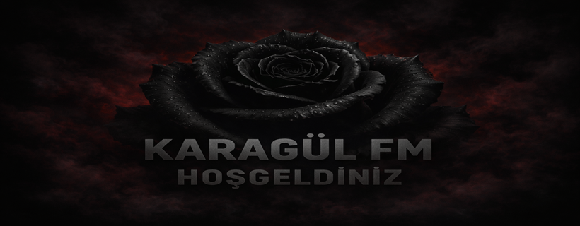 img_69db.png